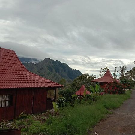 Home Stay Wolokoro Ecotourism Bajawa Εξωτερικό φωτογραφία