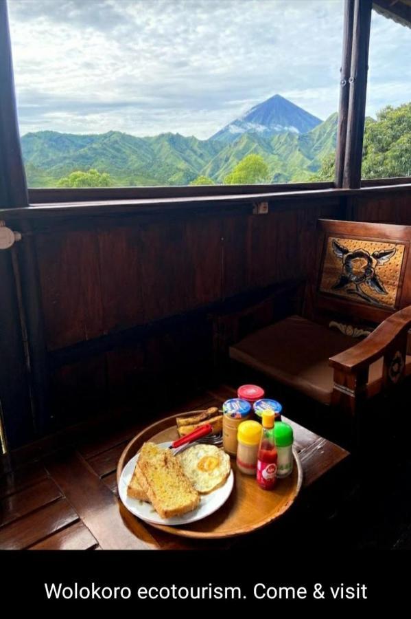 Home Stay Wolokoro Ecotourism Bajawa Εξωτερικό φωτογραφία