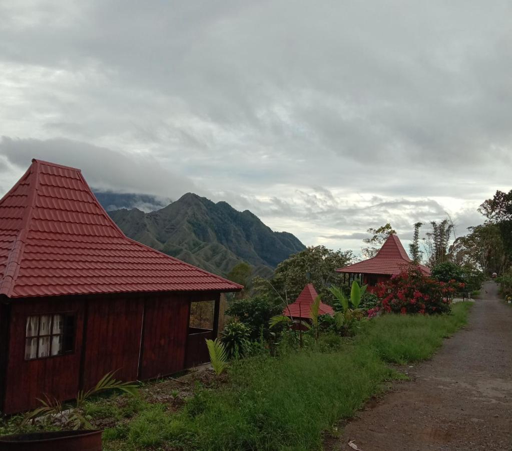 Home Stay Wolokoro Ecotourism Bajawa Εξωτερικό φωτογραφία