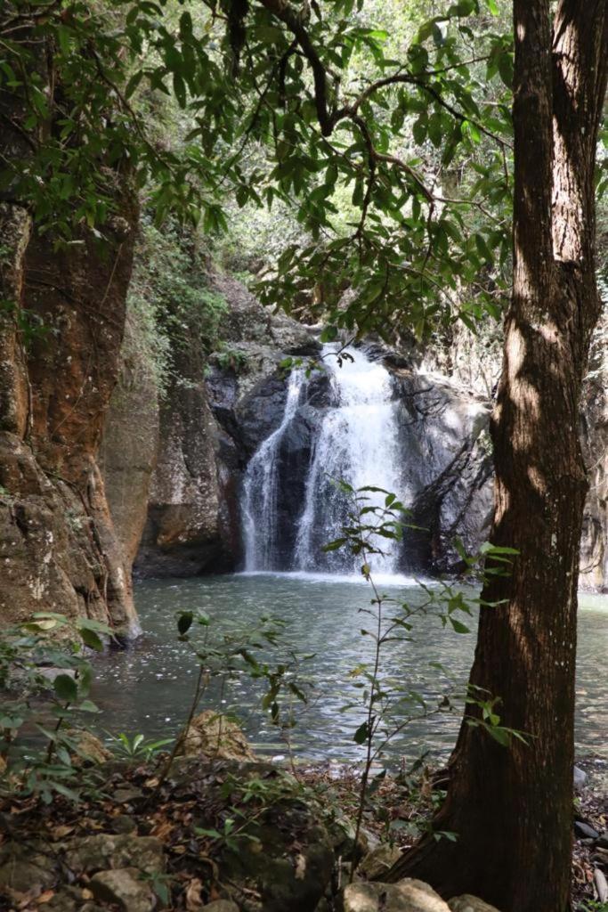 Home Stay Wolokoro Ecotourism Bajawa Εξωτερικό φωτογραφία